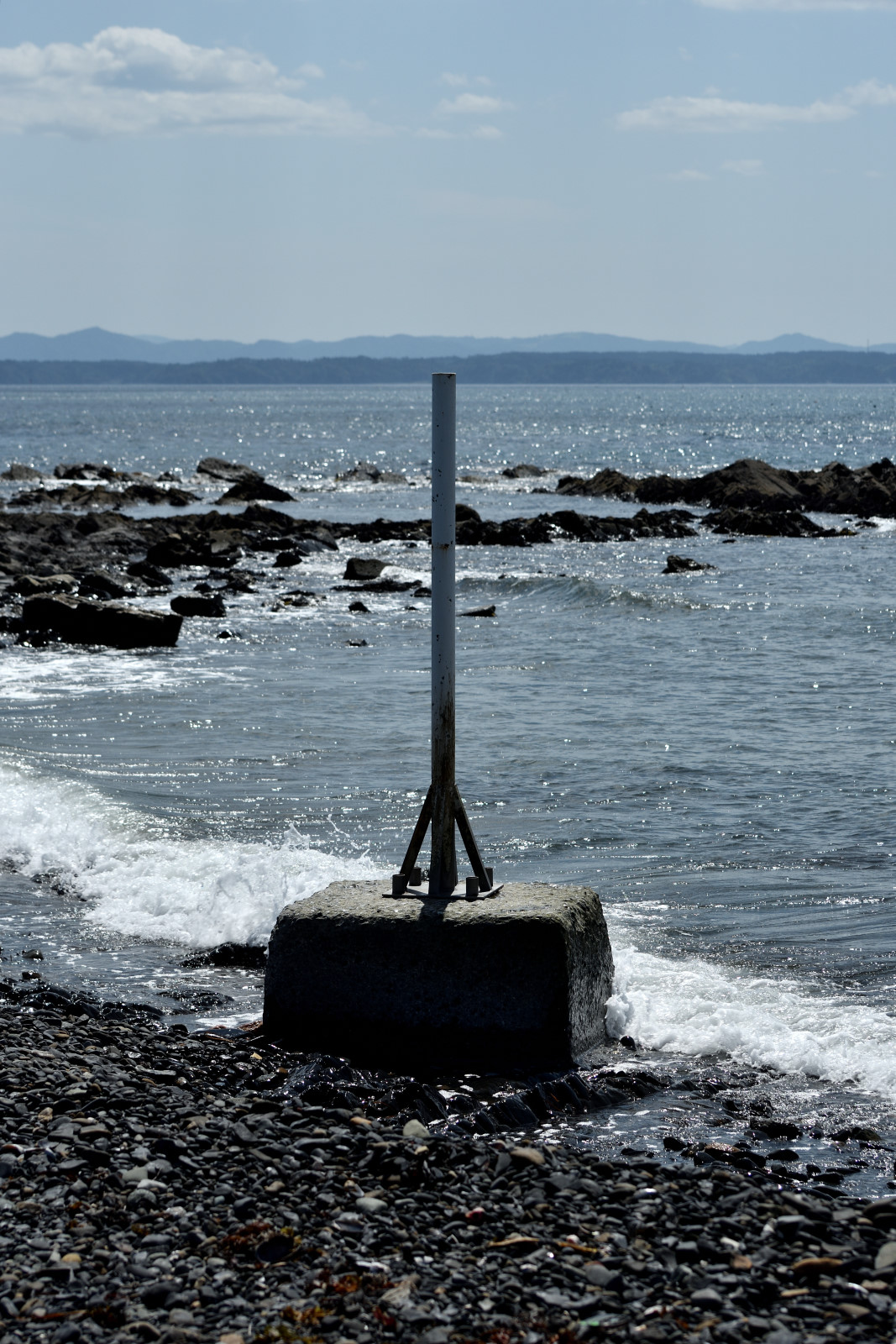 DSC_3563_00001.jpg