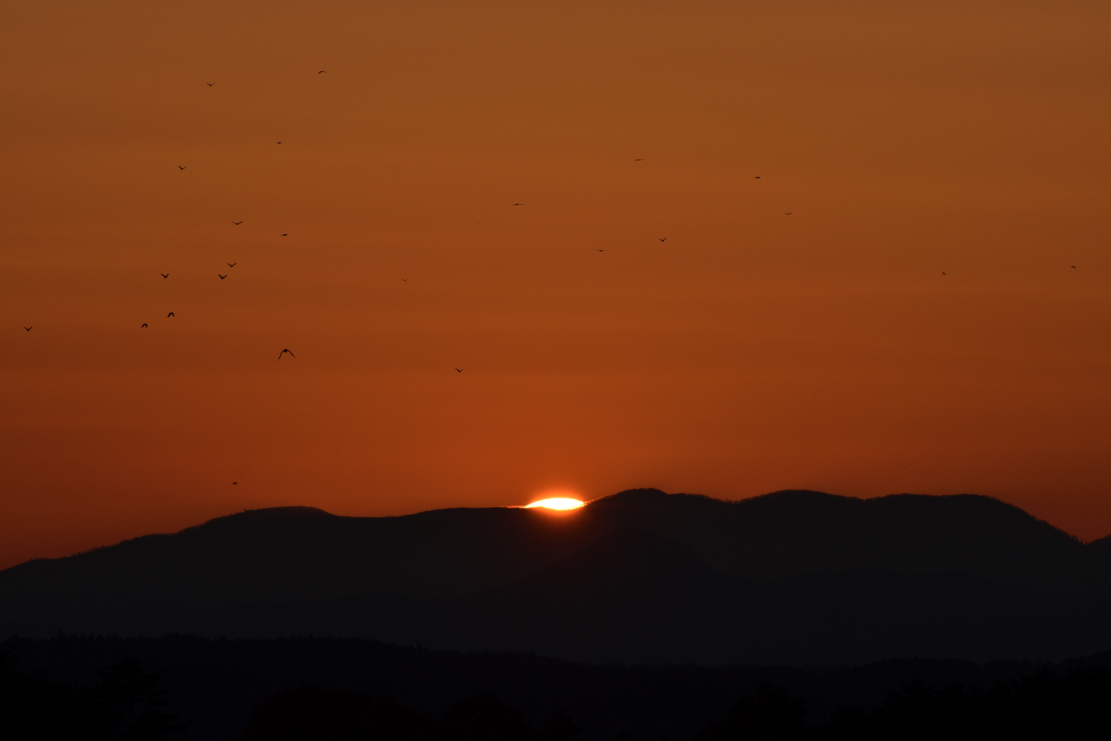 DSC_3899_00001.jpg