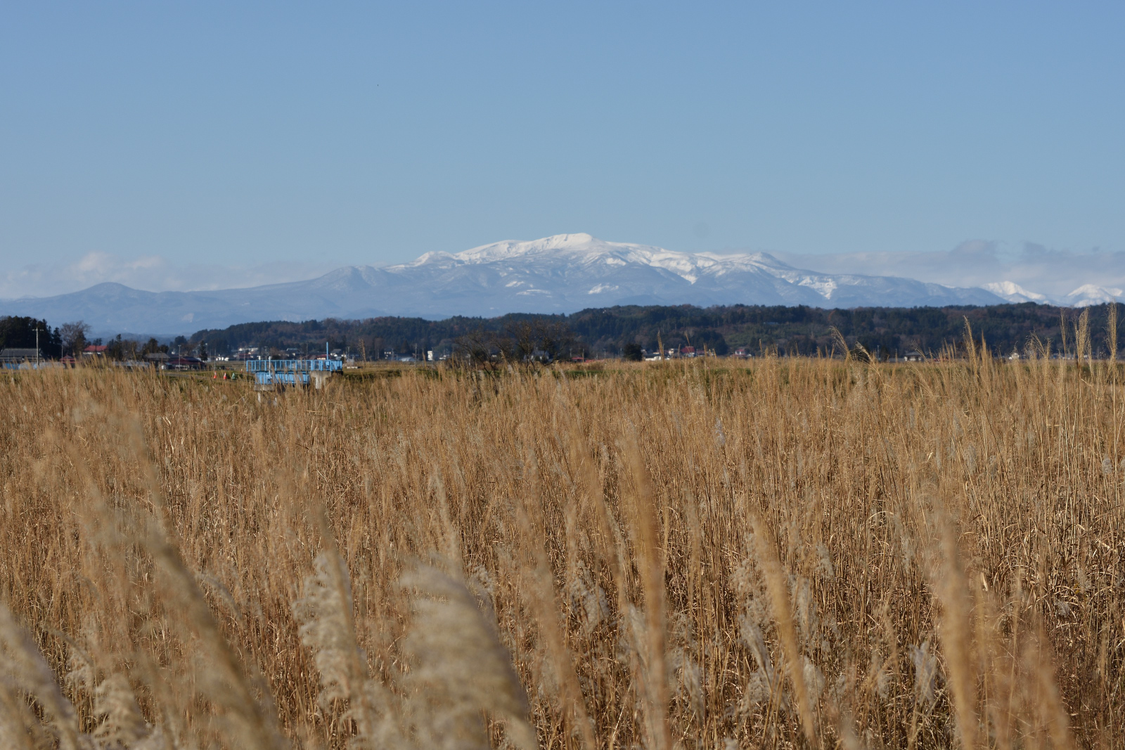 DSC_3937_00001.jpg