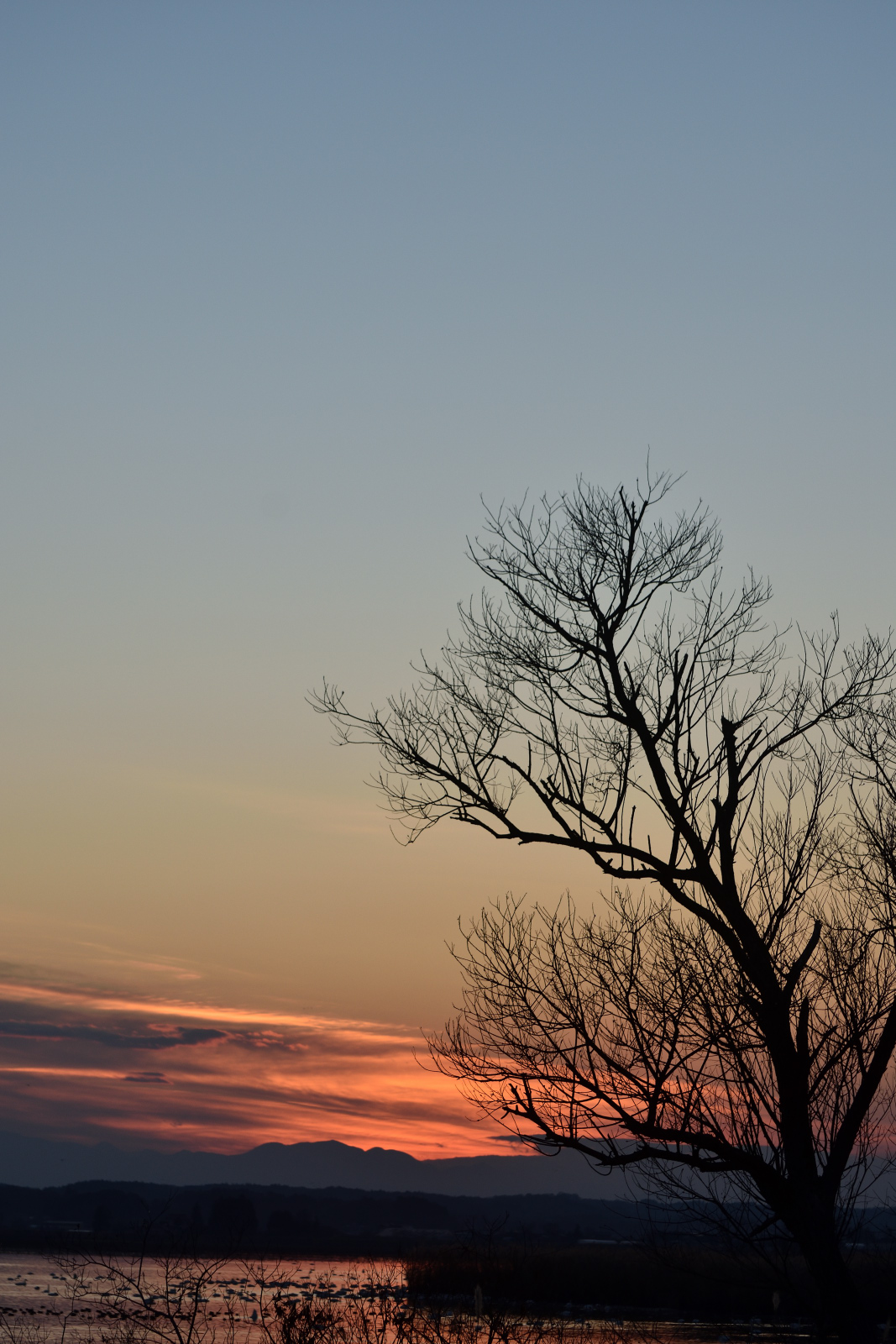 DSC_4126_00001.jpg