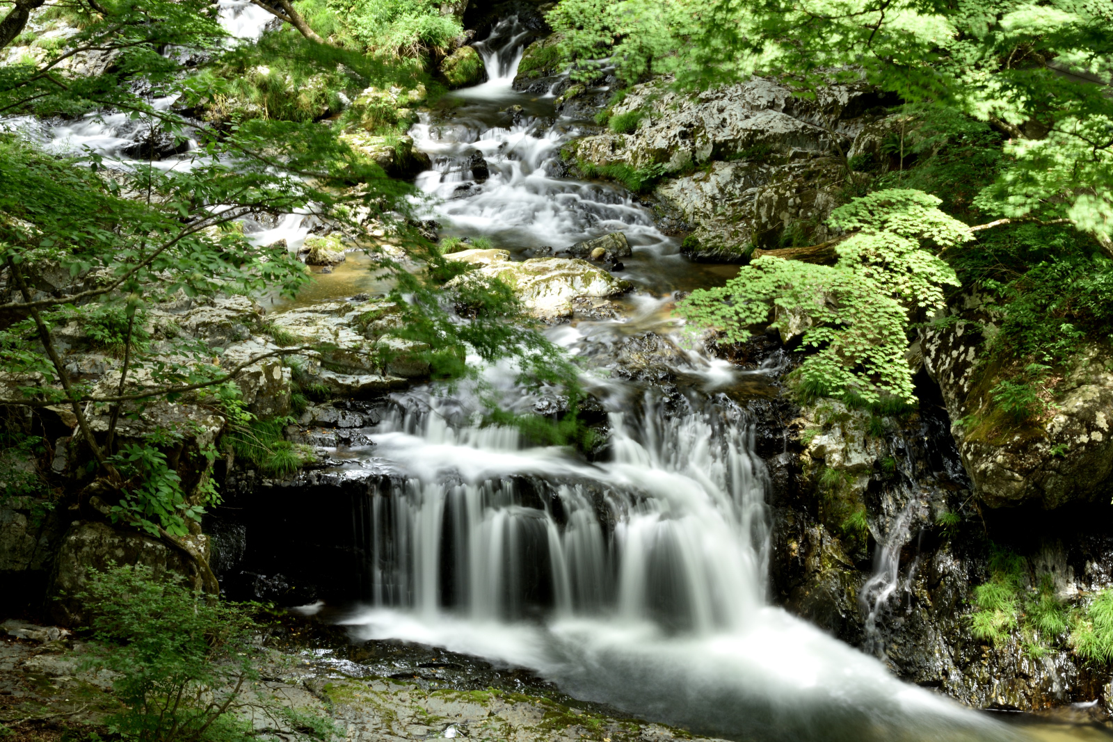 DSC_4980.jpg