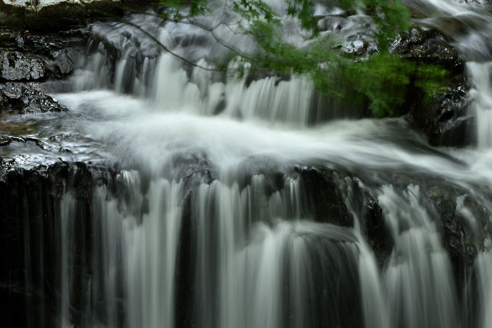 DSC_4989.jpg