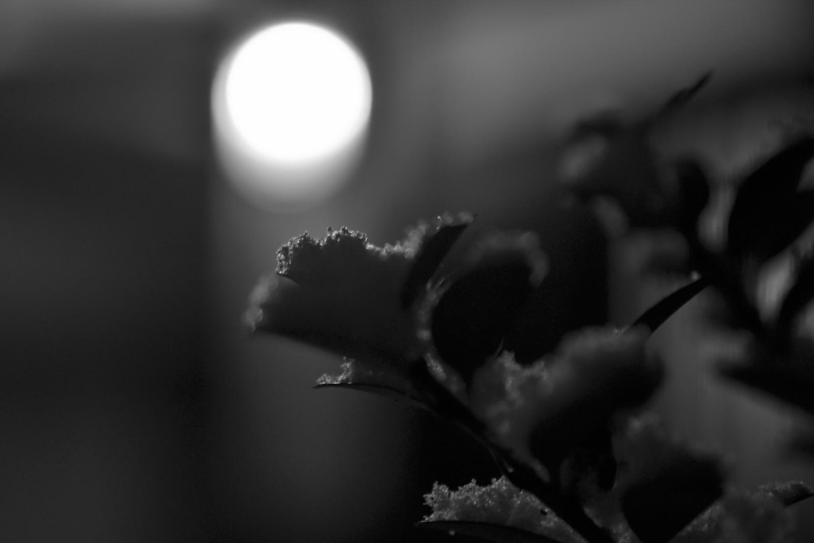 DSC_5843.jpg