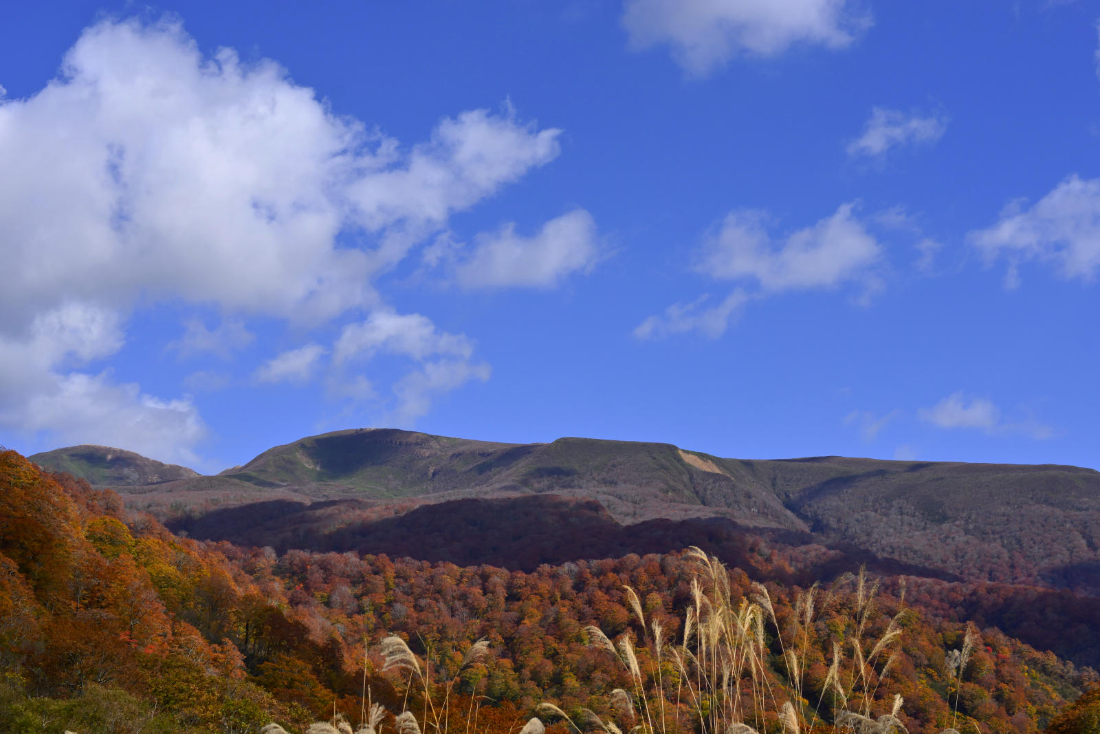 DSC_0457.jpg