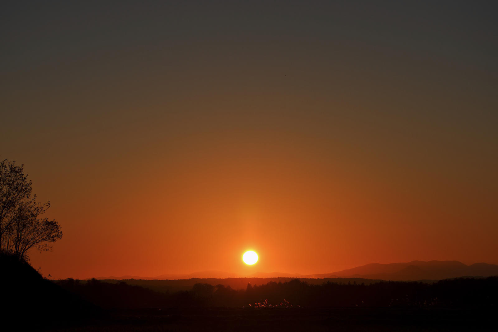 DSC_0712.jpg