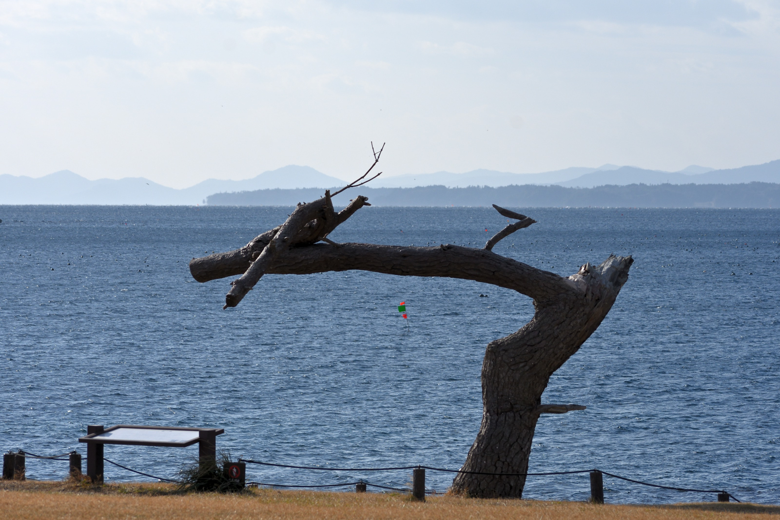 DSC_0949.jpg