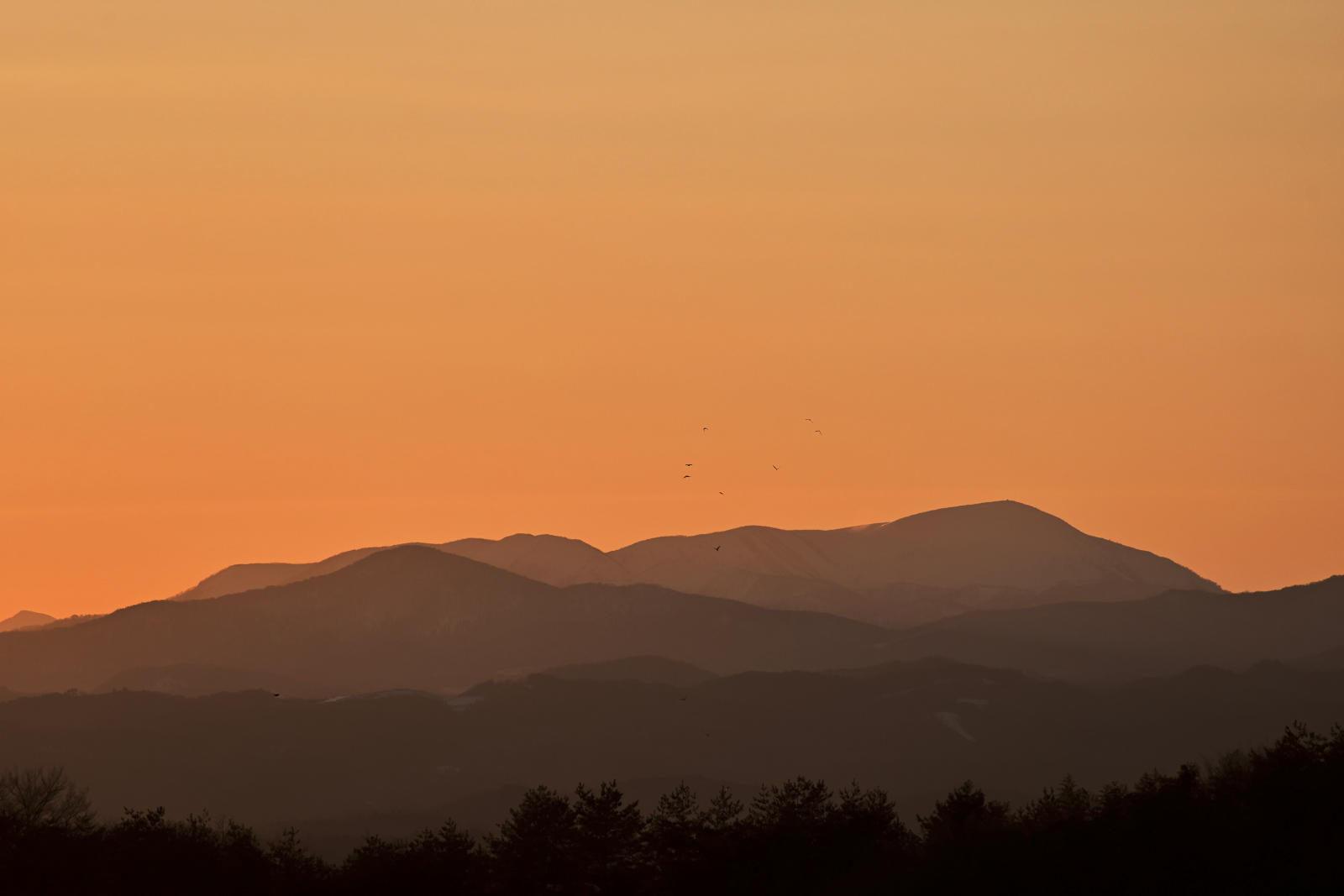DSC_9064.jpg