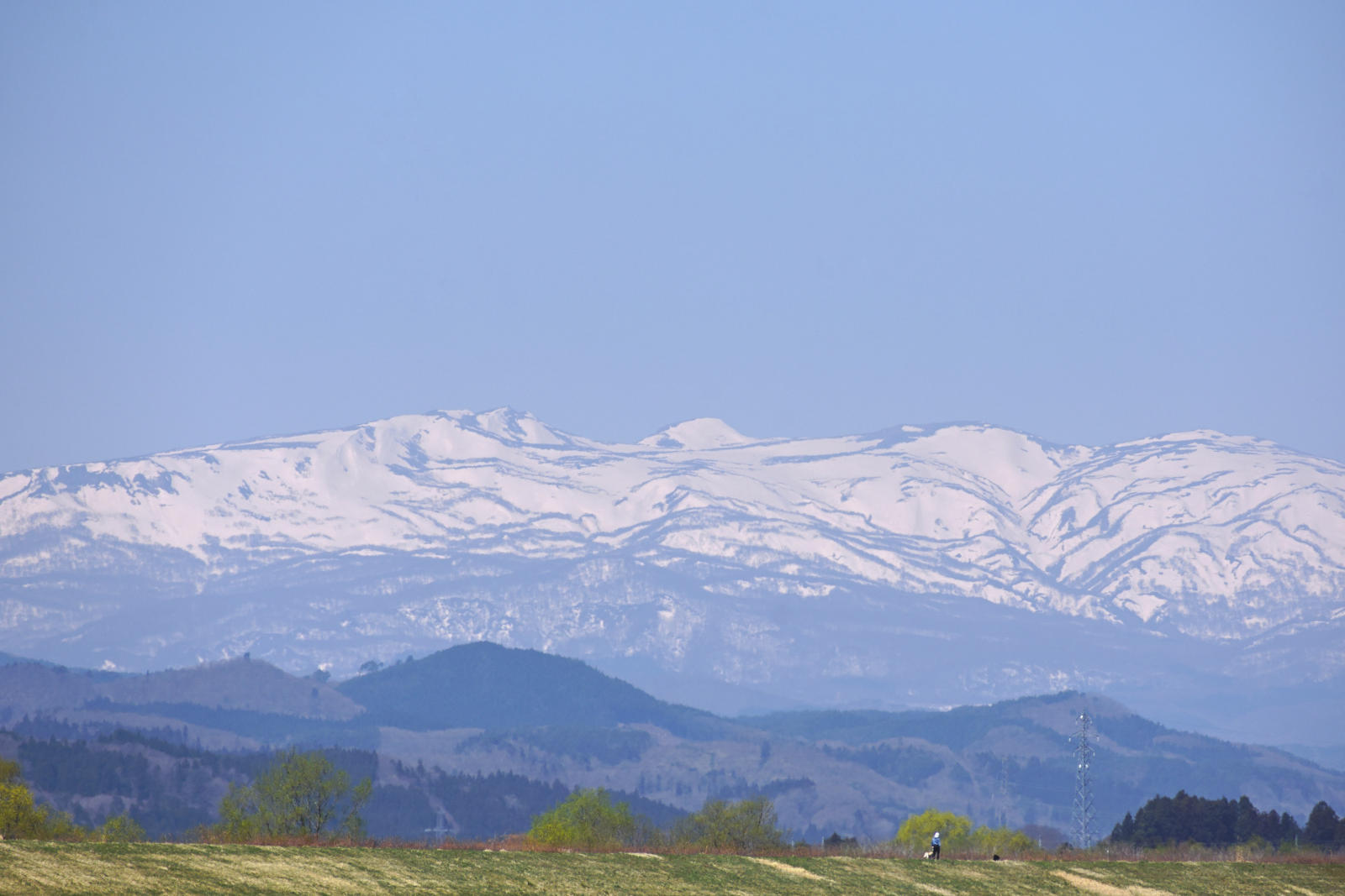 DSC_9265.jpg