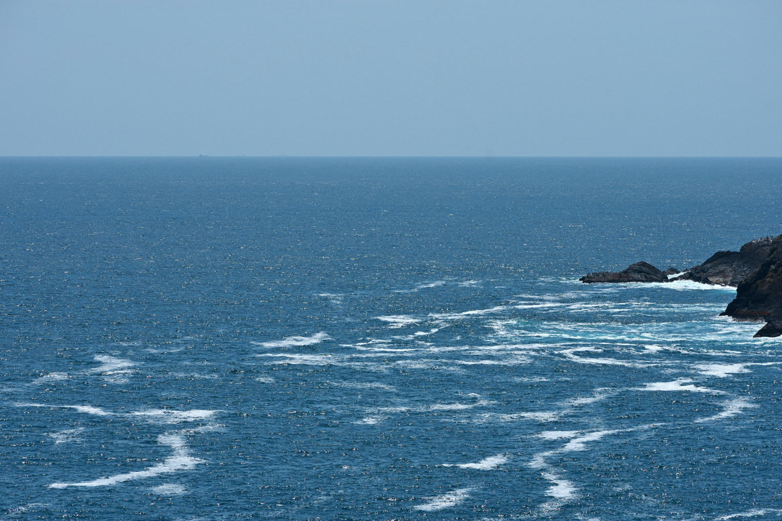 DSC_9406.jpg