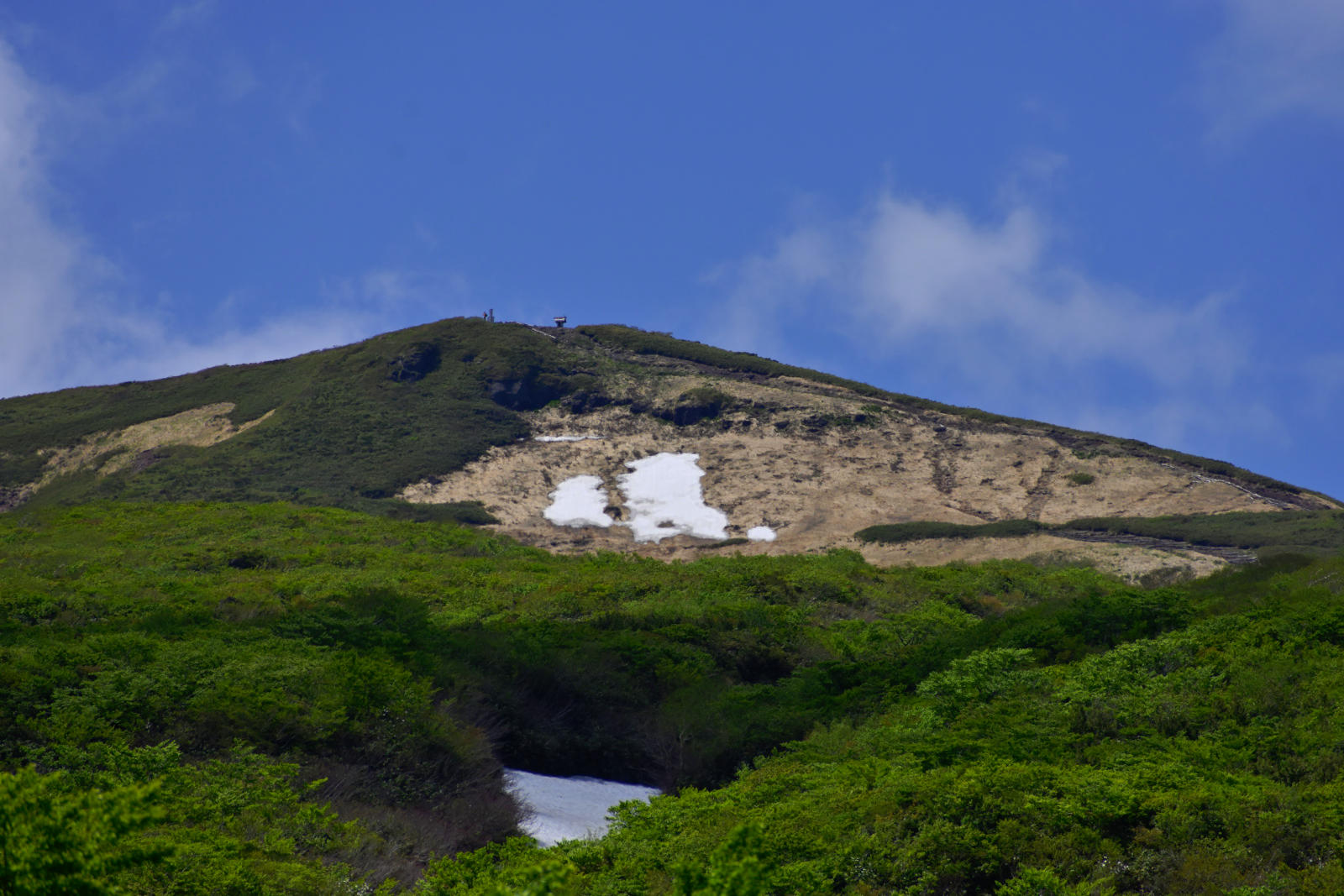 DSC_9560.jpg