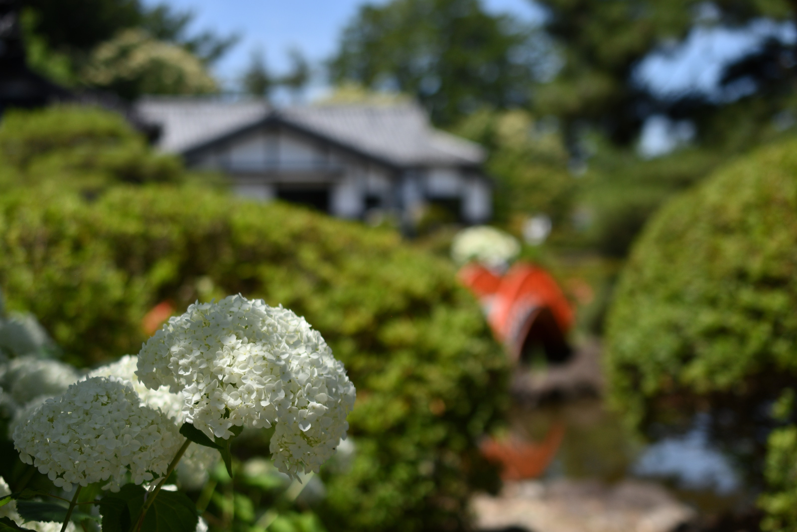 DSC_9671.jpg