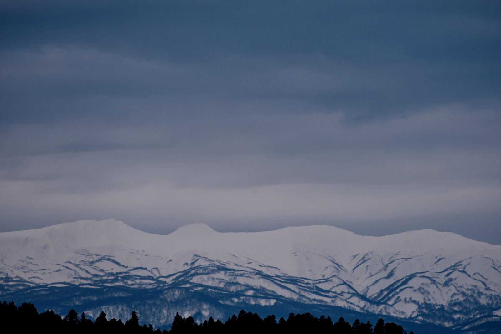 DSC_1163.jpg