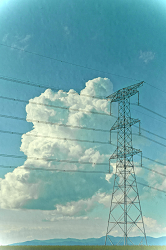 DSC_1556_thumb.png