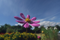 DSC_1666_thumb.png