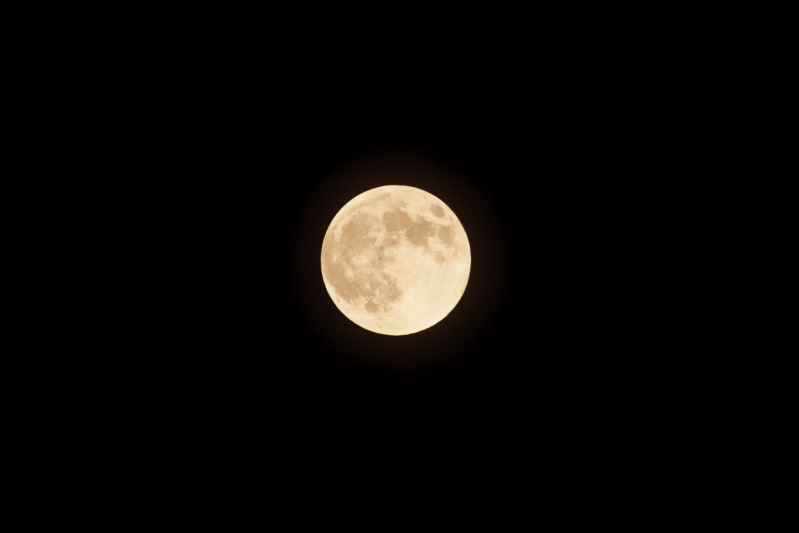 DSC_1759.jpg