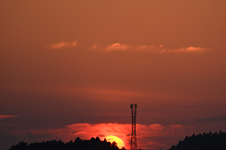 DSC_2131_thumb.png