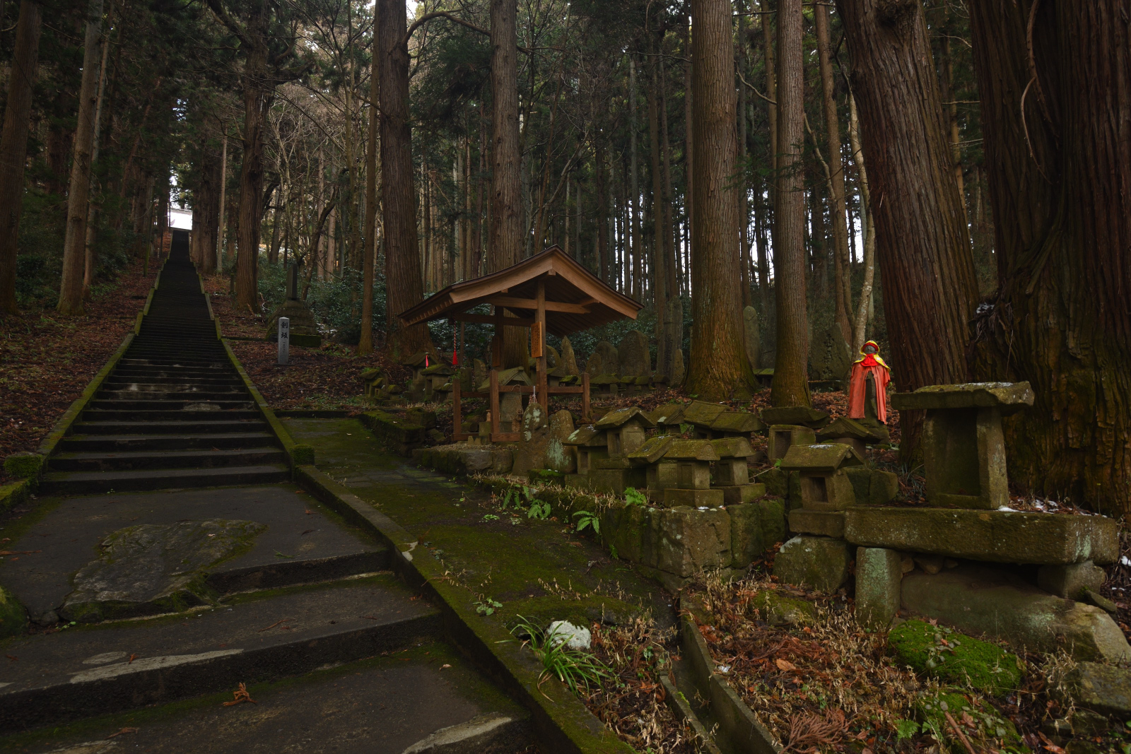 DSC_2429.jpg